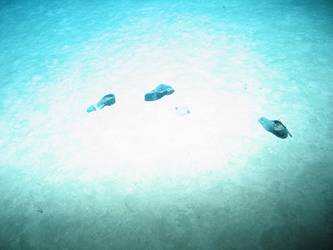 Shoes on seabed